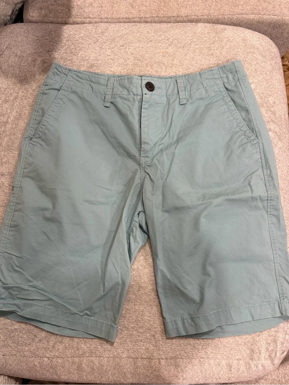Aeropostale Men's Seafoam Green Flat Front Chino Shorts